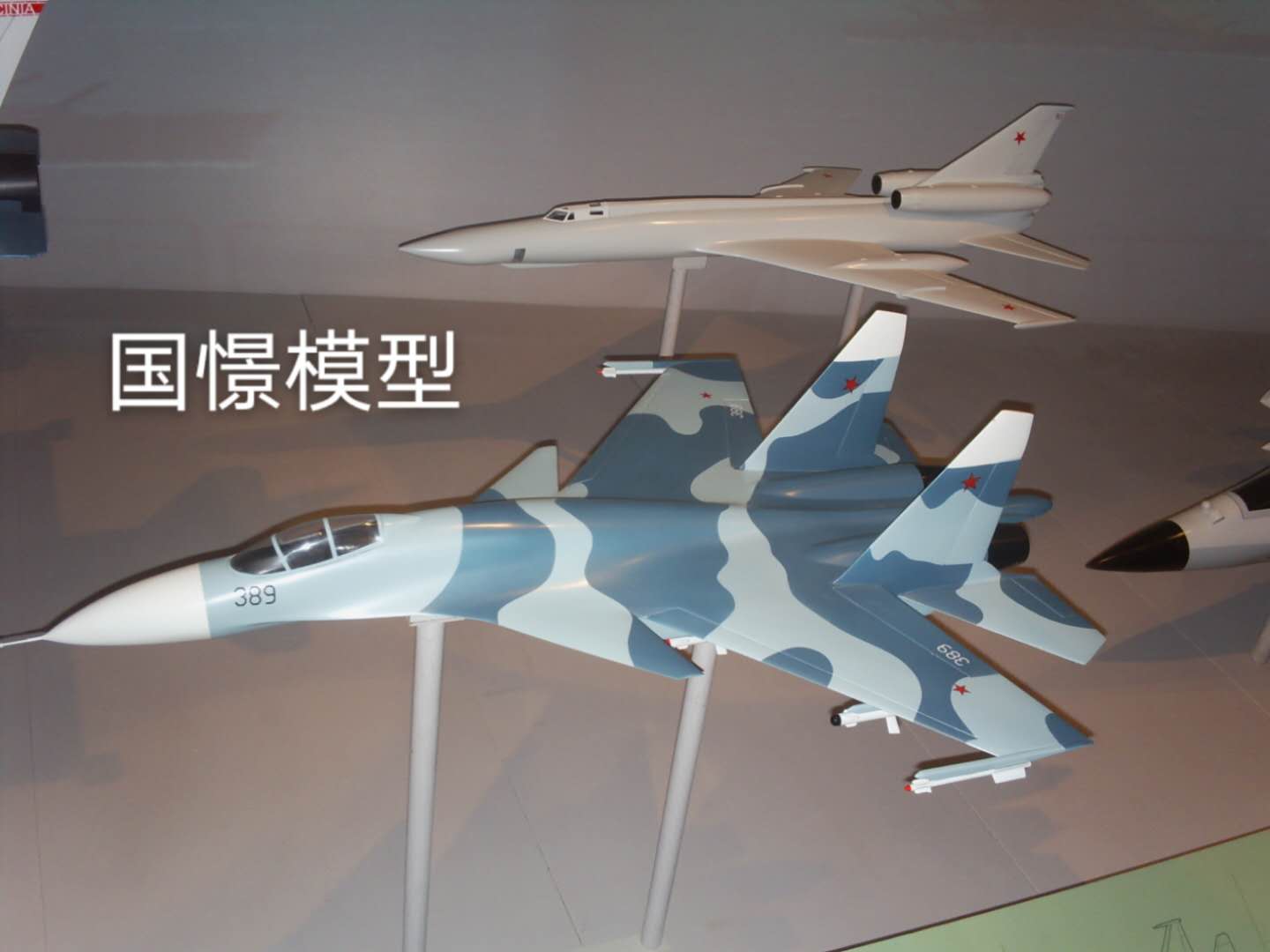临邑县军事模型